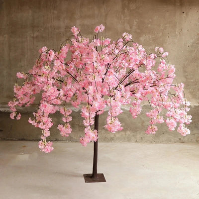 Cherry Blossom Flower Tree