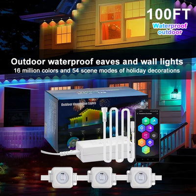 Permanent Outdoor Lights